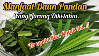 Daun Pandan Ternyata Bisa Obati Hipertensi dan Rematik, Caranya Mudah Banget!