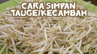 Rahasia Tauge Tahan Lama 7 Hari Lebih, Ternyata Tisu Malah Bikin Cepat Layu!