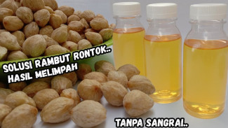 Trik Membuat Minyak Kemiri Homemade Tanpa Sangrai, Hasilnya Bening dan Wangi