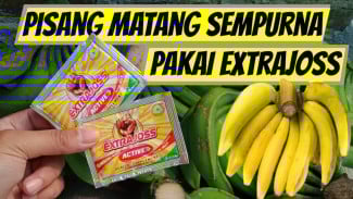 Pisang Masih Mentah? Coba Cara Ajaib Ini Biar Cepat Matang Tanpa Karbit, Cuma Butuh Extra Joss