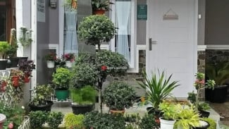 Bikin Tetangga Iri! 6 Desain Taman Minimalis Depan Rumah yang Bikin Nyaman & Sejuk