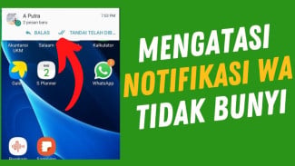 Notifikasi WhatsApp Tidak Berbunyi Padahal Ada Pesan Masuk, Ini Cara Mengatasinya