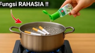 Wajib Tahu, Fungsi Campuran Minyak Kayu Putih & Abu Rokok, Murah Tapu Bermanfaat