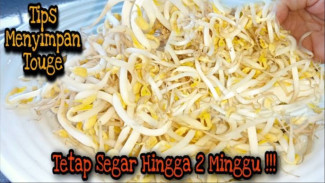 Tips Jitu Menyimpan Tauge Agar Awet, Segar dan tidak Tumbuh