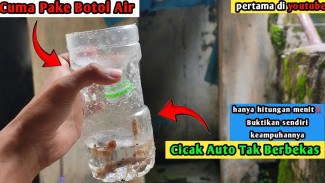 Cuma Modal Botol Bekas dan Nasi, Cicak di Rumah Langsung Nyangkut Tanpa Ampun Semalaman!