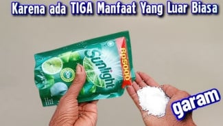 Rahasia Campuran Ajaib Garam dan Sunlight, Dijamin Karat Langsung Hilang!