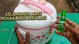 Rahasia Rice Cooker Awet dan Nasi Tahan Lama, Cukup Pakai Minyak Kayu Putih!