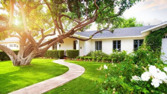 Tak Perlu Pakai AC, Ini Tips Agar Rumah Tetap Sejuk di Musim Panas