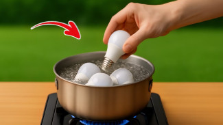 Lampu Bekas Bisa Jadi Mesin Uang Fantastis, Cuma Dengan Ide Kreatif Simpel di Rumah