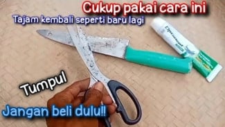 Ingin Gunting dan Pisau Tumpul Bisa Tajam Lagi? Cukup Pakai Pasta Gigi, Mudah Banget!
