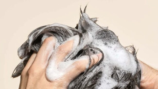 5 Rekomendasi Sampo untuk Perawatan Rambut Kering dan Mengembang, dari yang Murah hingga Mahal!