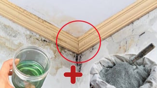 Campuran Styrofoam dan Semen Bisa Bikin Tembok Bocor Mengeras dan Lengket, Cara Simpel Tanpa Biaya Besar