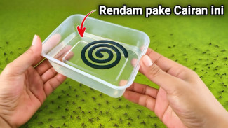 Cara Ampuh Usir Nyamuk Tanpa Bakar Obat Nyamuk, Aman untuk Anak-anak dan Balita