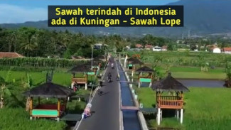 Jalan-jalan ke Sawah Lope Kuningan, Trek Jogging di Tengah Sawah dan Pemandangan Bukit yang Bikin Hati Adem