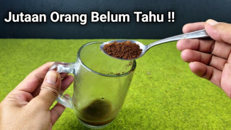 Jangan Buang Ampas Kopi! Bisa Dipakai Mengusir Tikus dan Hemat Ratusan Ribu Rupiah