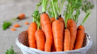 Selain Wortel, Ini 5 Daftar Makanan yang Bagus untuk Kesehatan Mata Anda
