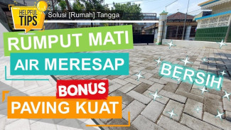 Rahasia Gila Paving Block Bebas Rumput 2 Tahun, Cuma Pakai Pasir dan Kapur Gamping Murah Meriah