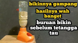 Cara Ajaib Buat Tempat Pakan Burung Otomatis dari Botol Bekas, Lebih Hemat Anti Berceceran!