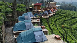 Pengalaman Seru Camping di Tengah Kebun Teh di Bandung, Suhu 16 Derajat Tapi Bikin Betah