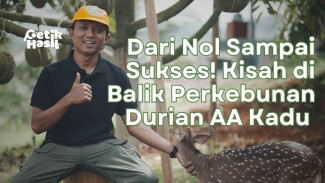 Rahasia Gokil Arianto Kebun Aa Kadu, Durian Premium Tasikmalaya yang Jadi Ancaman Durian Impor