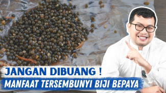 Segudang Khasiat Biji Pepaya yang Jarang Diketahui, Mulai Lawan Parasite Hingga Antioksidan