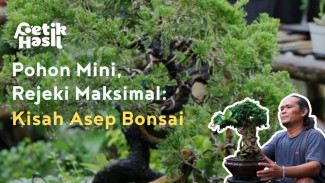 Dari Stres Istri Sakit Hingga Harta Ludes, Bonsai Malah Jadi Penolong Hidup Asep Bonsai dan Sumber Cuan Fantastis