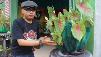 Kreatif, Warga Purwakarta Ini Olah Limbah Kain Jadi Pot Bunga Cantik
