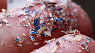Ternyata Setiap Hari Kita Komsumsi Plastik, Ini Cara Mencegahnya Menurut dr. Zaidul Akbar