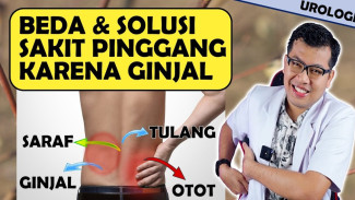 Sakit Pinggang Tiba-Tiba? Ini Cara Ampuh Redakan Nyeri Ginjal yang Bikin Tidak Bisa Bergerak