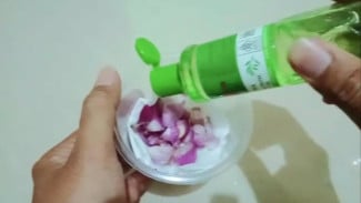 Tikus Auto Kabur, Ini Cara Membuat Ramuan Alami untuk Mengusir Tikus dari Rumah