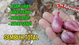 Cara Ampuh Atasi Asam Urat dan Kolesterol Pakai Bawang Merah Rebus, Sembuh Total Selamanya