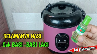 Rahasia Atasi Nasi Cepat Basi di Rice Cooker, Cukup Pakai Minyak Kayu Putih dan Pasta Gigi