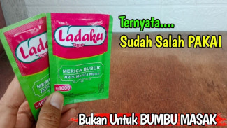 Fungsi Rahasia Merica Bubuk Bukan untuk Masak, Tapi Jadi Senjata Ampuh Mengusir Tikus