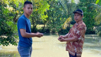 Berang-berang Serang Populasi Ikan Pembudidaya Subang, Kabid Perikanan Payau Sebut Kerugian Capai 70 Persen