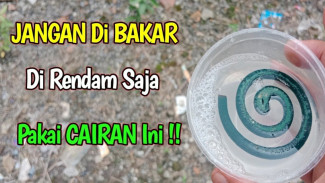 Rahasia Pakai Obat Nyamuk Tanpa Bakar, Hasilnya Jauh Lebih Manjur dan Aman
