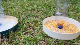 Pria Ini Jelaskan Ide Kreatif Mengubah Ember Bekas Jadi Tempat Pakan Ayam Unik