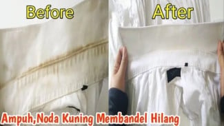 Rahasia Ampuh! Kerak Kuning Baju Apek Musnah Seketika!