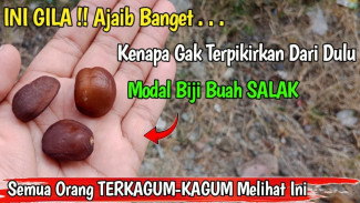 Biji Salak dan Bawang Putih Bisa Jadi Mainan Ajaib, Bikin Anak Jadi Lupa Gadget