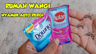 Campuran Autan dan Downy Jadi Pengharum Ruangan yang Anti Nyamuk