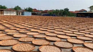 Belajar Bisnis Kerupuk Ikan Khas Indramayu
