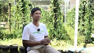 Tips Budidaya Vanili dari Petani Magelang, Emas Hijau yang Bisa Ditanam Siapa Saja