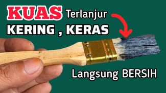 Kuas Cat Keras Kaku Membatu Bisa Hidup Lagi, Trik Gila Bikin Alat Lukis Jadi Lentur Seperti Baru
