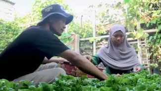 Harga Bahan Pokok Melonjak, Pasutri Hidup Ini Pilih Hidup Mandiri Berkebun