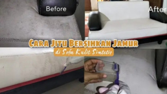 Aduh Jamuran! Ini Rahasia Bersihkan Sofa Sintetis yang Berjamur Cuma Modal Rp10 Ribu!
