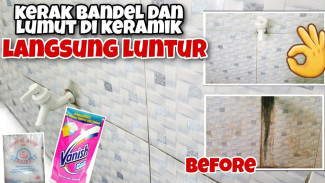 Cara Ampuh Hilangkan Lumut Keramik Kamar Mandi Pakai Bahan Murah Meriah