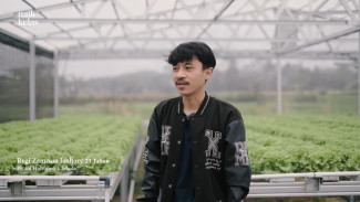 Sempat Jadi Bahan Olok-olok! Ini Kisah Pemuda yang Sukses dari Nol Jadi Juragan Selada!