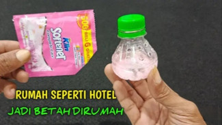 Wangi Gila! Ini Cara Bikin Pewangi Ruangan Tahan Lama, Modal Cuma Seribuan!