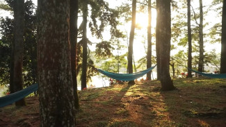 Gak Pakai Mahal! Ini Cara Liburan Hemat di Purwakarta Dijamin Bikin Happy!