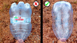 Sulap Galon Air Mineral Bekas Jadi Akuarium Keren, Modal Receh Untung Melimpah