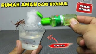 Nyamuk Auto Minggat! Ini Cara Mengusir Nyamuk Paling Ampuh Modal Minyak Kayu Putih!